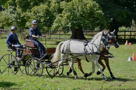 2017-08-06 - CCA La Renaissance Tourville Les Ifs 2017, 01-DSC_9205