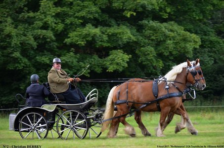 2017-08-06 - CCA La Renaissance Tourville Les Ifs 2017, 02-DSC_8201