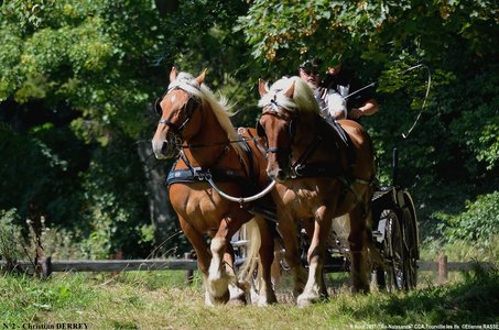 2017-08-06 - CCA La Renaissance Tourville Les Ifs 2017, 02-DSC_9080