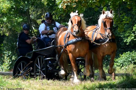 2017-08-06 - CCA La Renaissance Tourville Les Ifs 2017, 02-DSC_9090