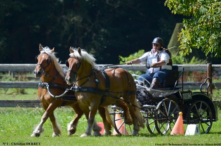 2017-08-06 - CCA La Renaissance Tourville Les Ifs 2017, 02-DSC_9104