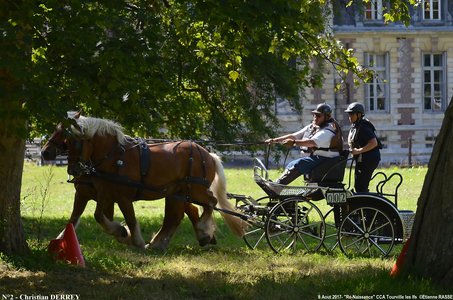 2017-08-06 - CCA La Renaissance Tourville Les Ifs 2017, 02-DSC_9116
