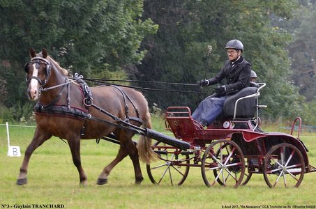 2017-08-06 - CCA La Renaissance Tourville Les Ifs 2017, 03-DSC_8235