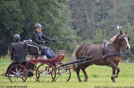 2017-08-06 - CCA La Renaissance Tourville Les Ifs 2017, 03-DSC_8237