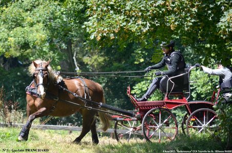 2017-08-06 - CCA La Renaissance Tourville Les Ifs 2017, 03-DSC_8675