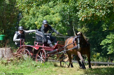 2017-08-06 - CCA La Renaissance Tourville Les Ifs 2017, 03-DSC_8685