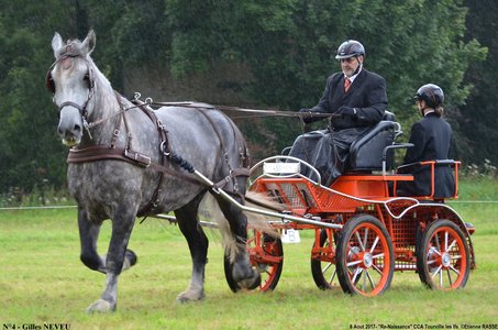 2017-08-06 - CCA La Renaissance Tourville Les Ifs 2017, 04-DSC_8253