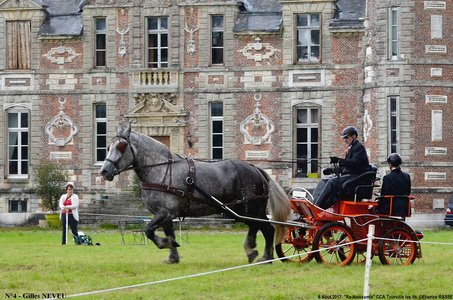 2017-08-06 - CCA La Renaissance Tourville Les Ifs 2017, 04-DSC_8255