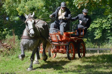 2017-08-06 - CCA La Renaissance Tourville Les Ifs 2017, 04-DSC_8724