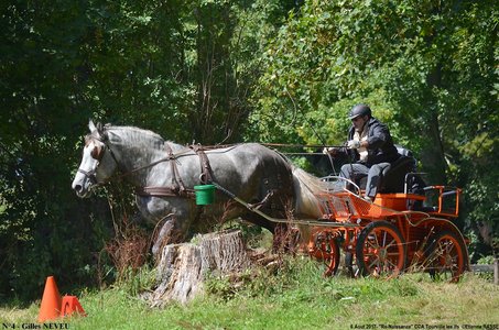 2017-08-06 - CCA La Renaissance Tourville Les Ifs 2017, 04-DSC_8725
