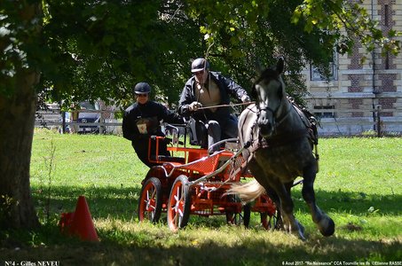 2017-08-06 - CCA La Renaissance Tourville Les Ifs 2017, 04-DSC_8735