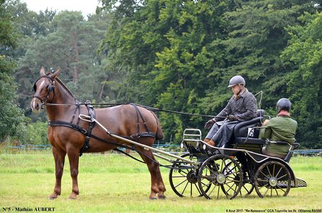 2017-08-06 - CCA La Renaissance Tourville Les Ifs 2017, 05-DSC_8263