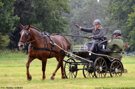 2017-08-06 - CCA La Renaissance Tourville Les Ifs 2017, 05-DSC_8274