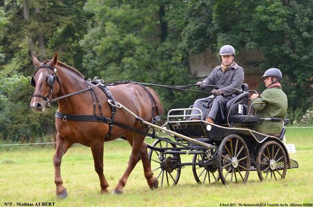 2017-08-06 - CCA La Renaissance Tourville Les Ifs 2017, 05-DSC_8281