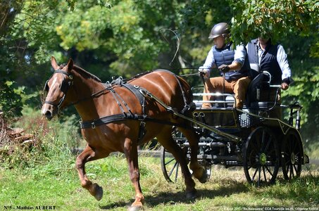 2017-08-06 - CCA La Renaissance Tourville Les Ifs 2017, 05-DSC_8749