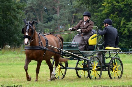 2017-08-06 - CCA La Renaissance Tourville Les Ifs 2017, 06-DSC_8292