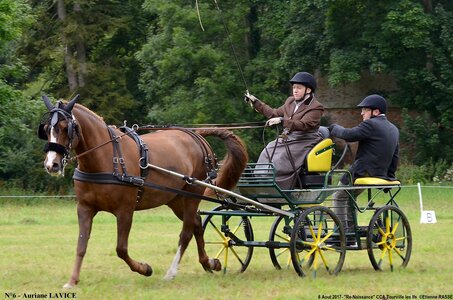 2017-08-06 - CCA La Renaissance Tourville Les Ifs 2017, 06-DSC_8300