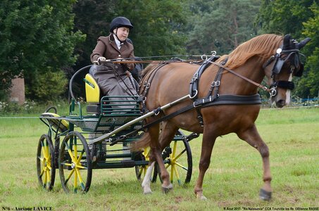 2017-08-06 - CCA La Renaissance Tourville Les Ifs 2017, 06-DSC_8308