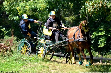 2017-08-06 - CCA La Renaissance Tourville Les Ifs 2017, 06-DSC_8810