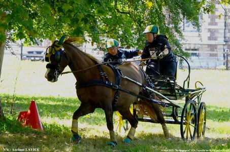 2017-08-06 - CCA La Renaissance Tourville Les Ifs 2017, 06-DSC_8829