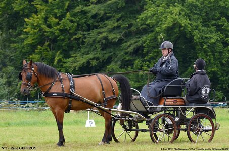 2017-08-06 - CCA La Renaissance Tourville Les Ifs 2017, 07-DSC_8319