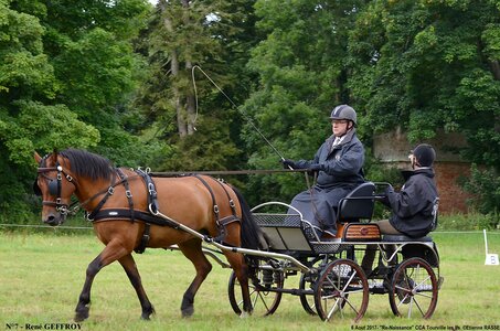 2017-08-06 - CCA La Renaissance Tourville Les Ifs 2017, 07-DSC_8340