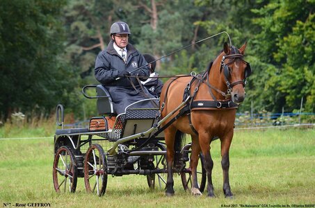 2017-08-06 - CCA La Renaissance Tourville Les Ifs 2017, 07-DSC_8342