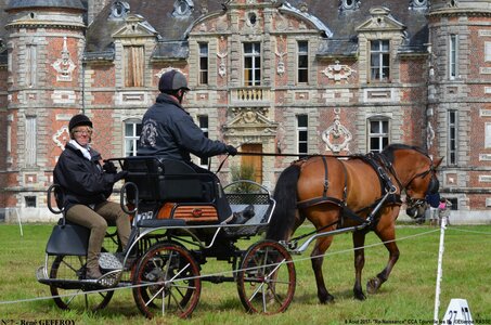 2017-08-06 - CCA La Renaissance Tourville Les Ifs 2017, 07-DSC_8345