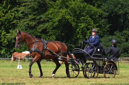 2017-08-06 - CCA La Renaissance Tourville Les Ifs 2017, 08-DSC_8384