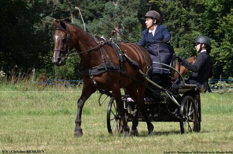 2017-08-06 - CCA La Renaissance Tourville Les Ifs 2017, 08-DSC_8388