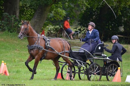2017-08-06 - CCA La Renaissance Tourville Les Ifs 2017, 08-DSC_8446