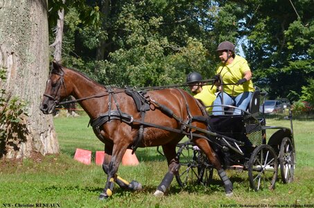 2017-08-06 - CCA La Renaissance Tourville Les Ifs 2017, 08-DSC_8663