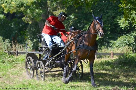 2017-08-06 - CCA La Renaissance Tourville Les Ifs 2017, 10-DSC_8938
