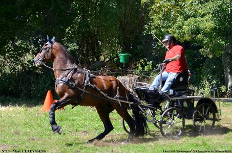 2017-08-06 - CCA La Renaissance Tourville Les Ifs 2017, 10-DSC_8945