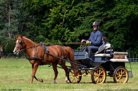 2017-08-06 - CCA La Renaissance Tourville Les Ifs 2017, 11-DSC_8363