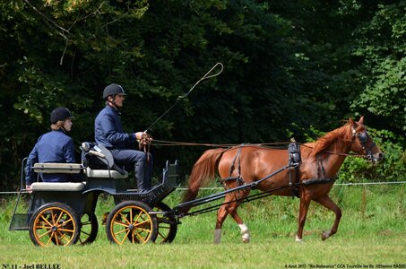 2017-08-06 - CCA La Renaissance Tourville Les Ifs 2017, 11-DSC_8365