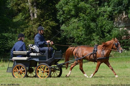 2017-08-06 - CCA La Renaissance Tourville Les Ifs 2017, 11-DSC_8373