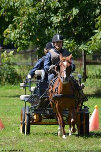 2017-08-06 - CCA La Renaissance Tourville Les Ifs 2017, 11-DSC_8881