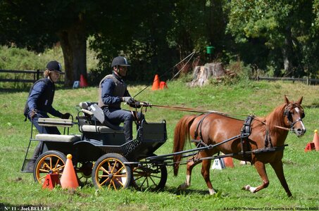 2017-08-06 - CCA La Renaissance Tourville Les Ifs 2017, 11-DSC_8883