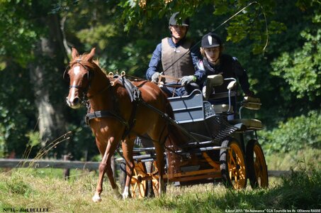 2017-08-06 - CCA La Renaissance Tourville Les Ifs 2017, 11-DSC_8887