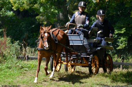 2017-08-06 - CCA La Renaissance Tourville Les Ifs 2017, 11-DSC_8889