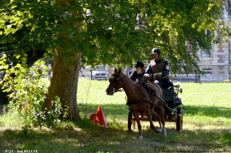 2017-08-06 - CCA La Renaissance Tourville Les Ifs 2017, 11-DSC_8919
