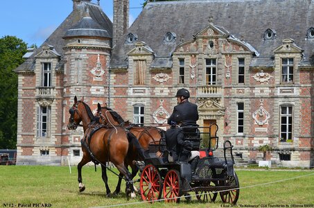 2017-08-06 - CCA La Renaissance Tourville Les Ifs 2017, 12-DSC_8412