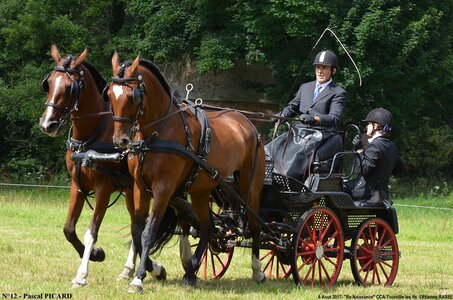 2017-08-06 - CCA La Renaissance Tourville Les Ifs 2017, 12-DSC_8414