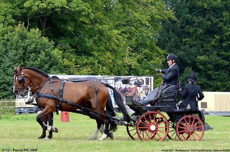 2017-08-06 - CCA La Renaissance Tourville Les Ifs 2017, 12-DSC_8425