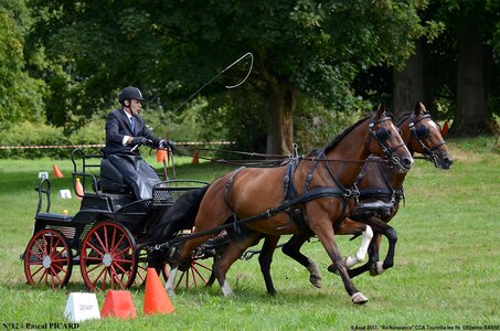 2017-08-06 - CCA La Renaissance Tourville Les Ifs 2017, 12-DSC_8475
