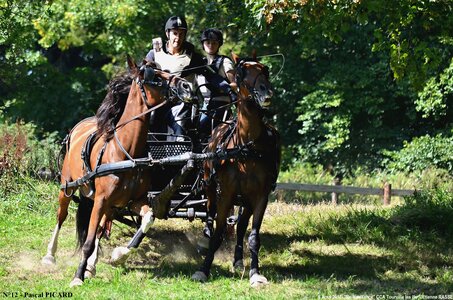 2017-08-06 - CCA La Renaissance Tourville Les Ifs 2017, 12-DSC_8996