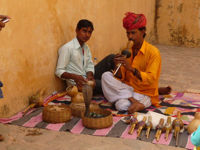 Inde (Rajasthan) - Avril_Mai 2012 - Album N° 2, P1080365