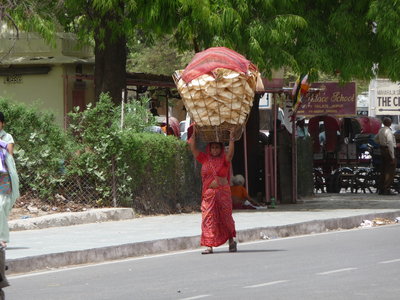 Inde (Rajasthan) - Avril_Mai 2012 - Album N° 2, P1080378