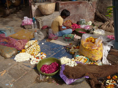 Inde (Rajasthan) - Avril_Mai 2012 - Album N° 2, P1080469